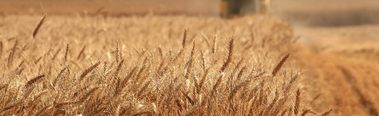 TABLEAU COMPARATIF DES FORMES SOCIALES AGRICOLES (EXTRAIT)