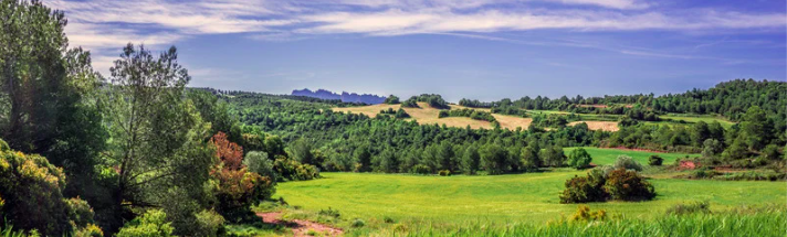 La  possible « patrimonialisation » du bail rural : rappel des conditions de cession du bail rural