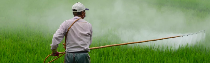 Le Conseil d’Etat, les pesticides et la protection des populations