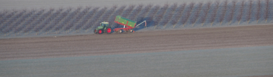 Régulation de l’accès au foncier agricole