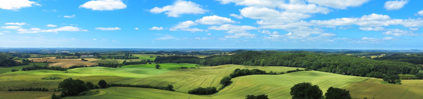 Droit rural