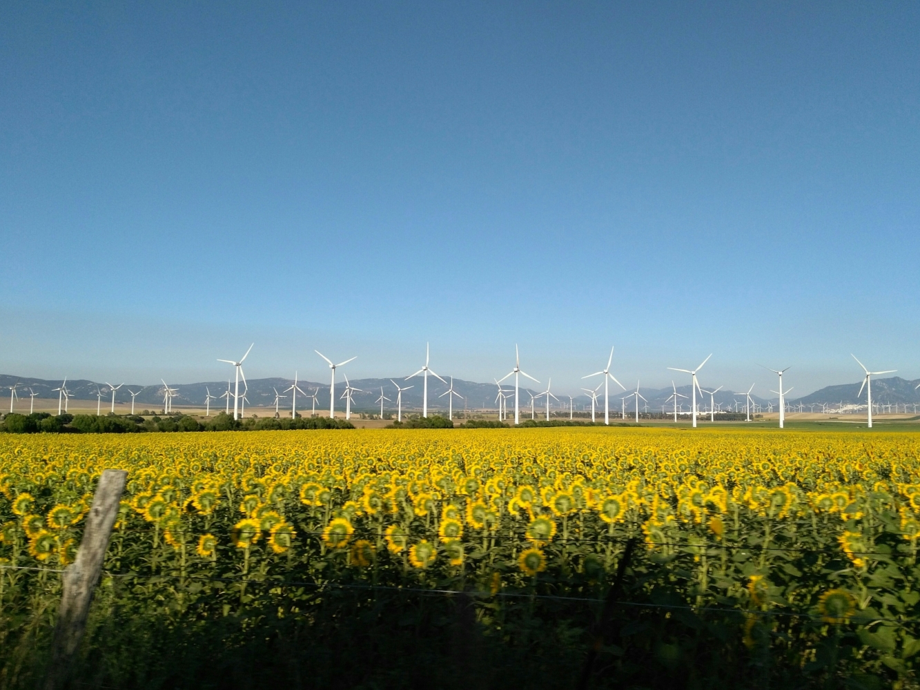 ÉNERGIES RENOUVELABLES EN AGRICULTURE : LES APPORTS DE LA LOI ENR DU 10 MARS 2023