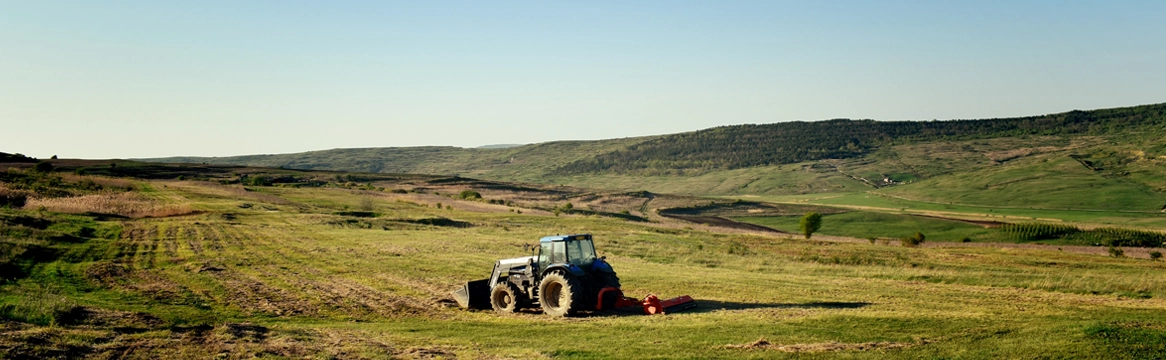 L’influence du droit de l’environnement sur le droit rural : une comparaison européenne 