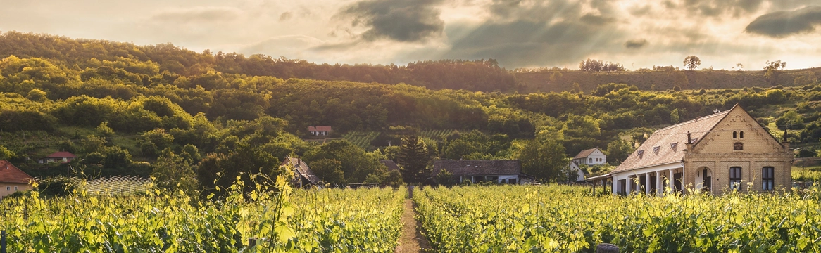 Les avantages de la holding en agriculture