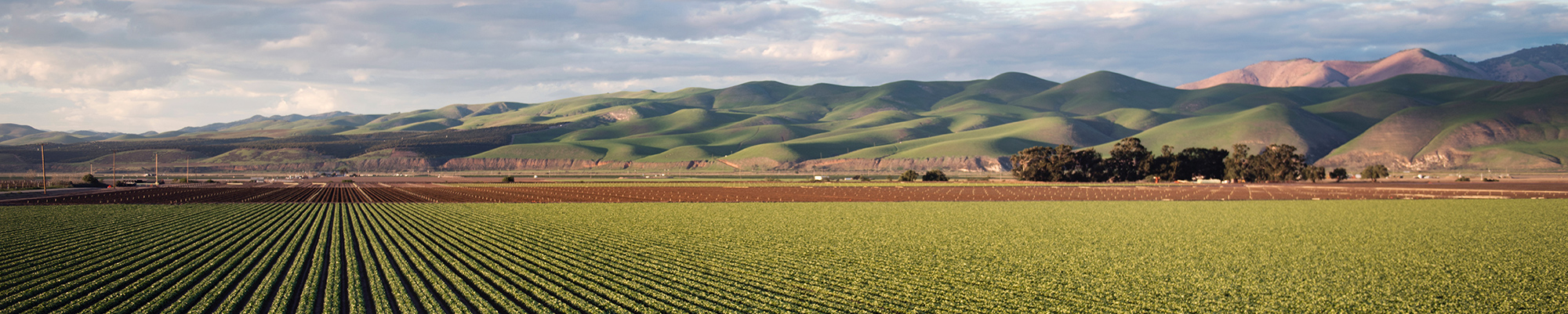 Construire en zone agricole : la protection de l’espace rural comme ambition